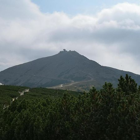 Penzion Lesni Pramen Pec pod Snezkou Exterior foto