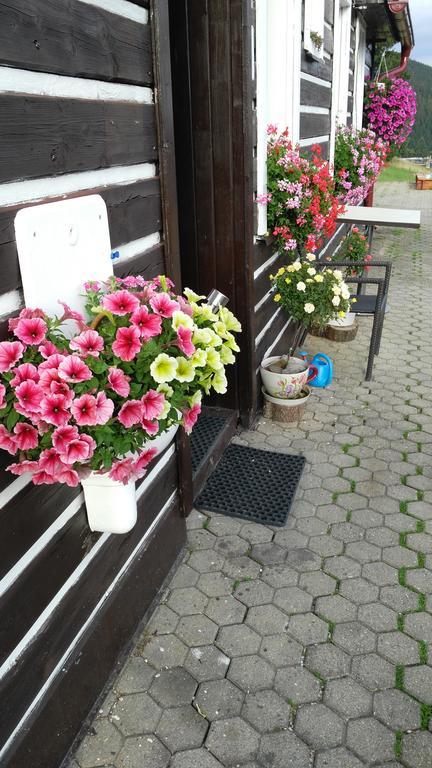 Penzion Lesni Pramen Pec pod Snezkou Exterior foto