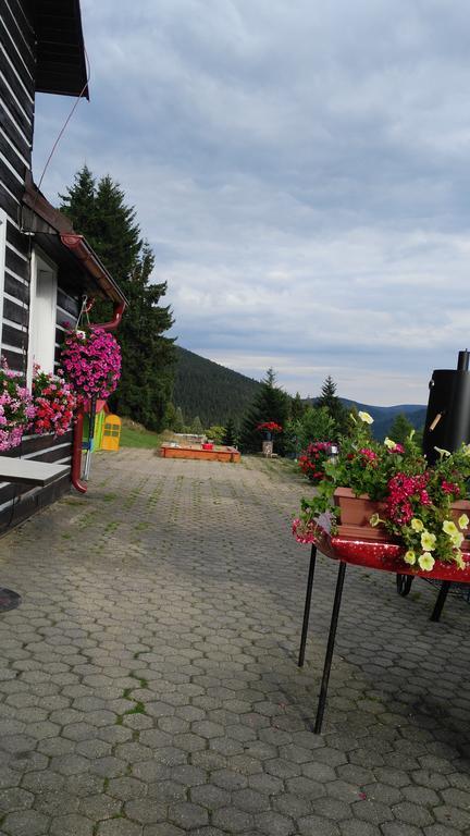 Penzion Lesni Pramen Pec pod Snezkou Exterior foto