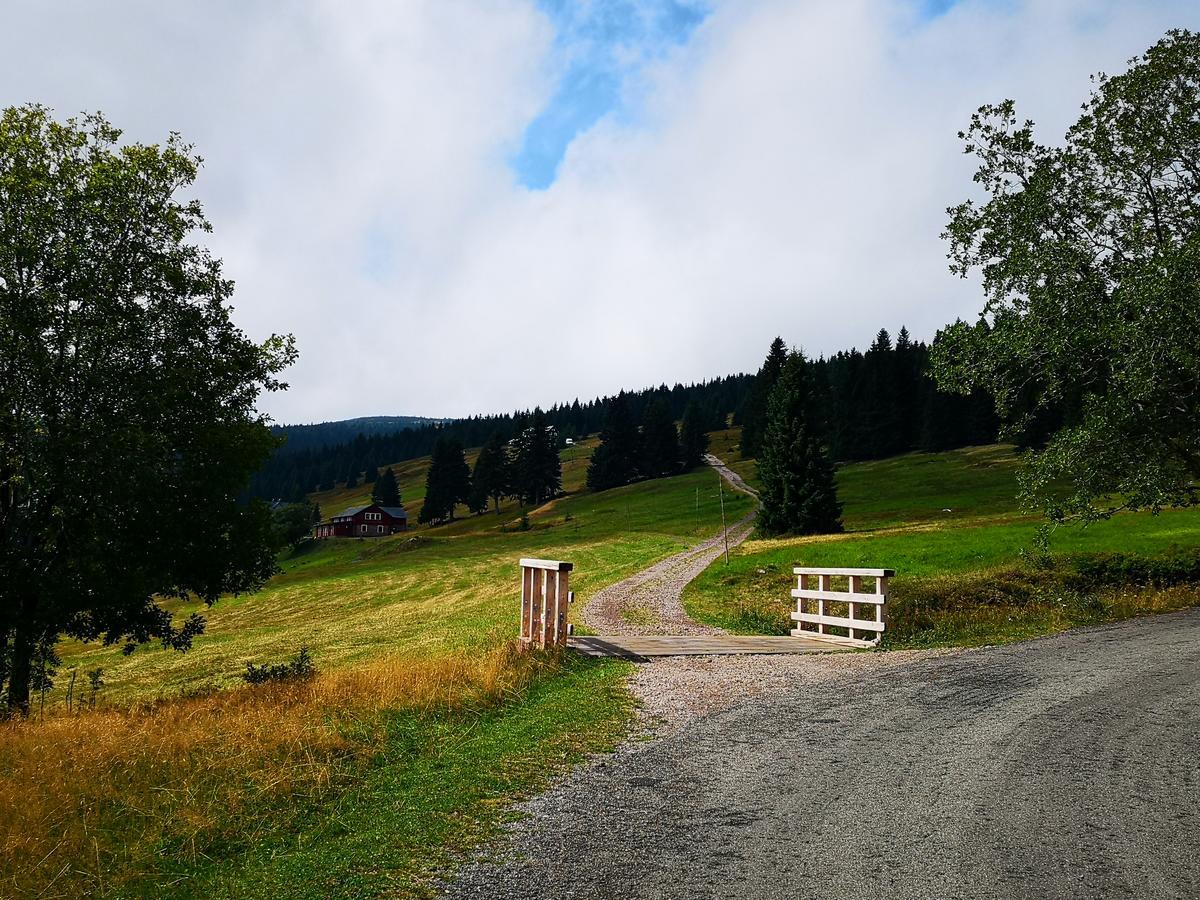 Penzion Lesni Pramen Pec pod Snezkou Exterior foto